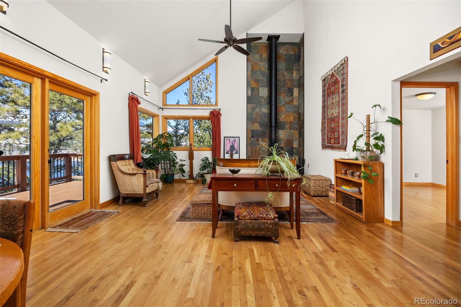 MLS Image #10 for 253  alpine drive,nederland, Colorado