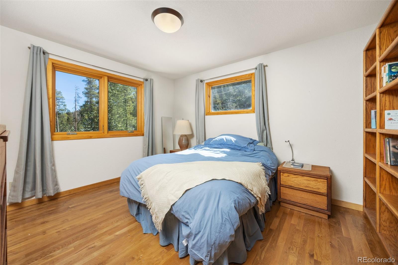 MLS Image #14 for 253  alpine drive,nederland, Colorado