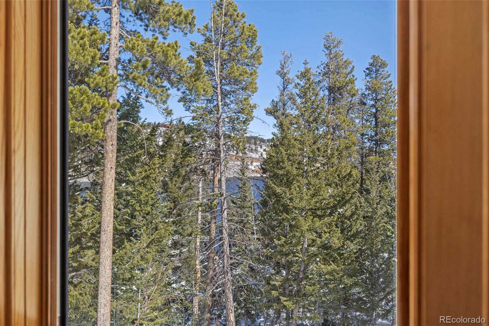 MLS Image #16 for 253  alpine drive,nederland, Colorado