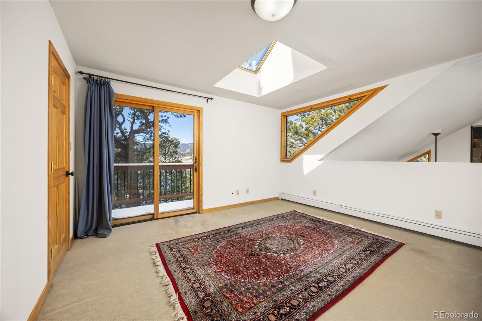 MLS Image #22 for 253  alpine drive,nederland, Colorado
