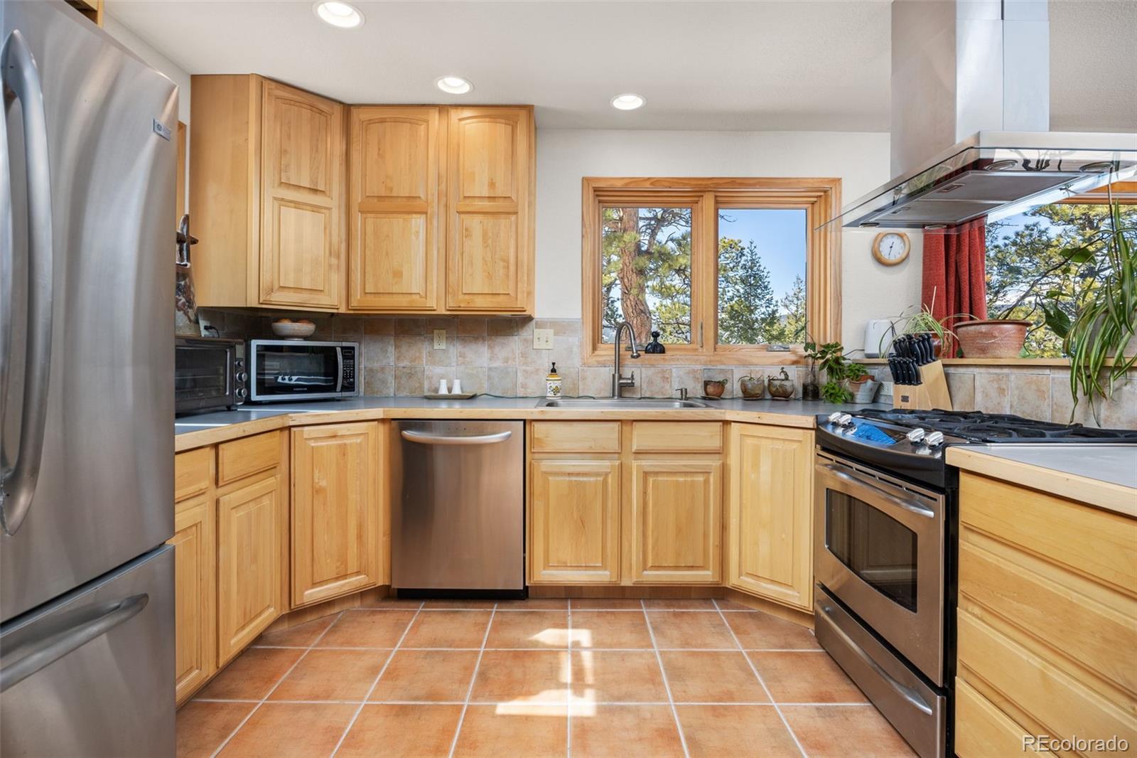 MLS Image #5 for 253  alpine drive,nederland, Colorado
