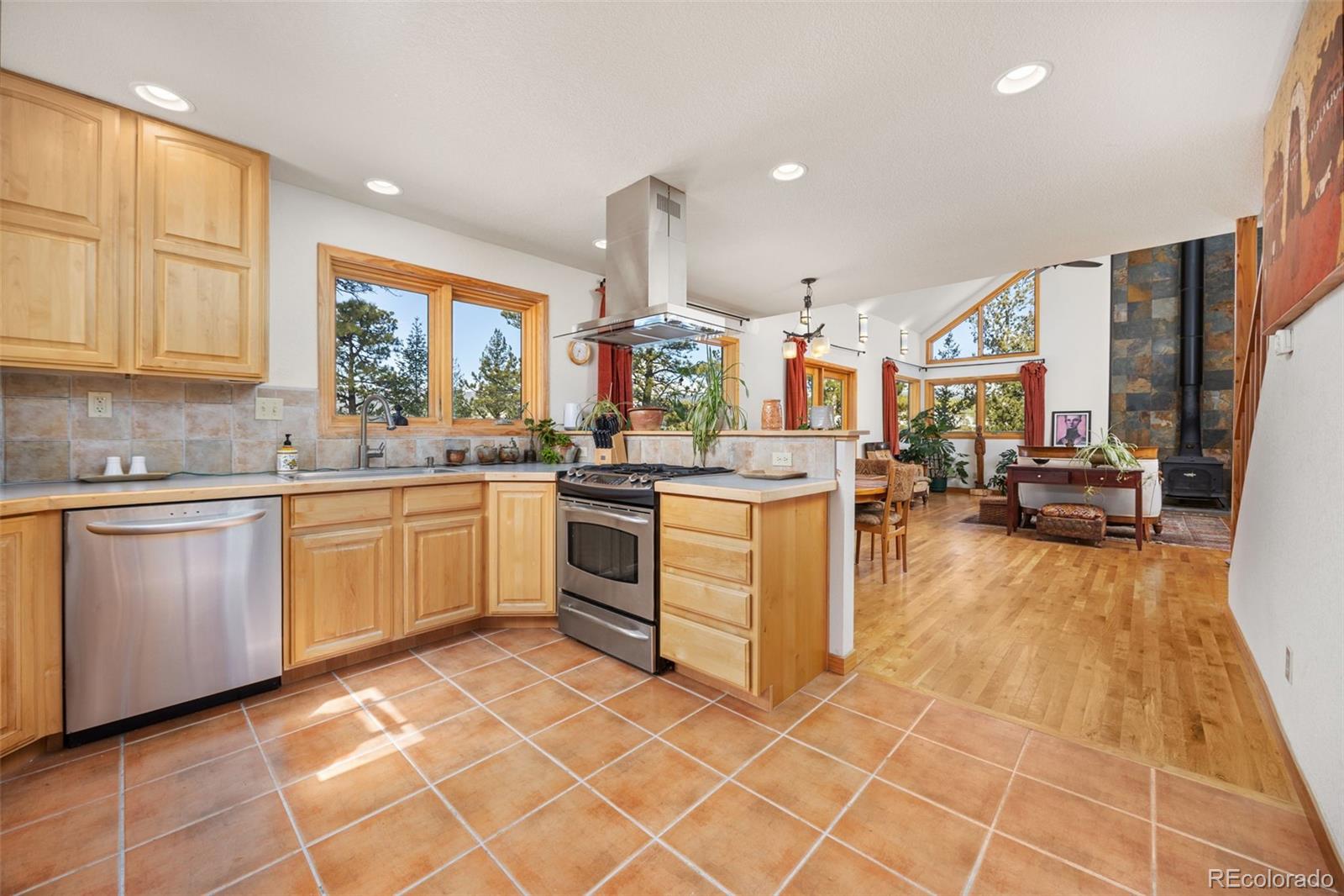MLS Image #6 for 253  alpine drive,nederland, Colorado