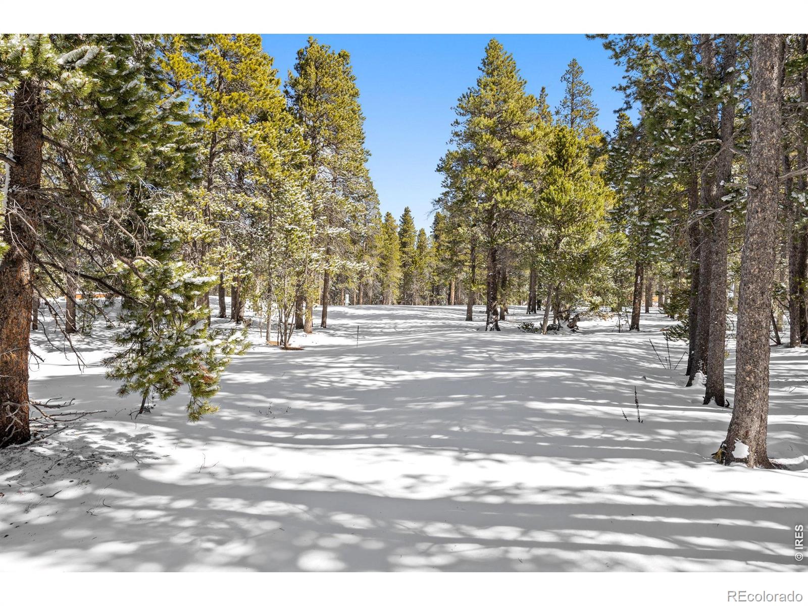 MLS Image #42 for 286  chieftain road,black hawk, Colorado