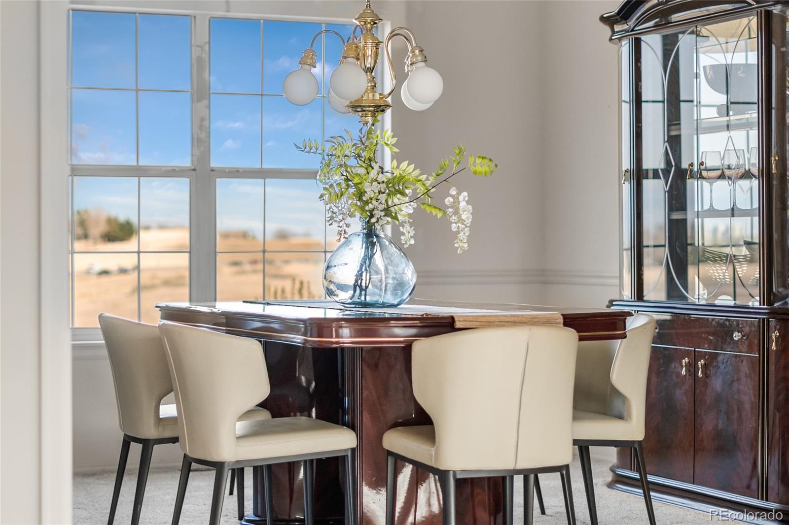 MLS Image #12 for 8586  meadow creek drive,highlands ranch, Colorado