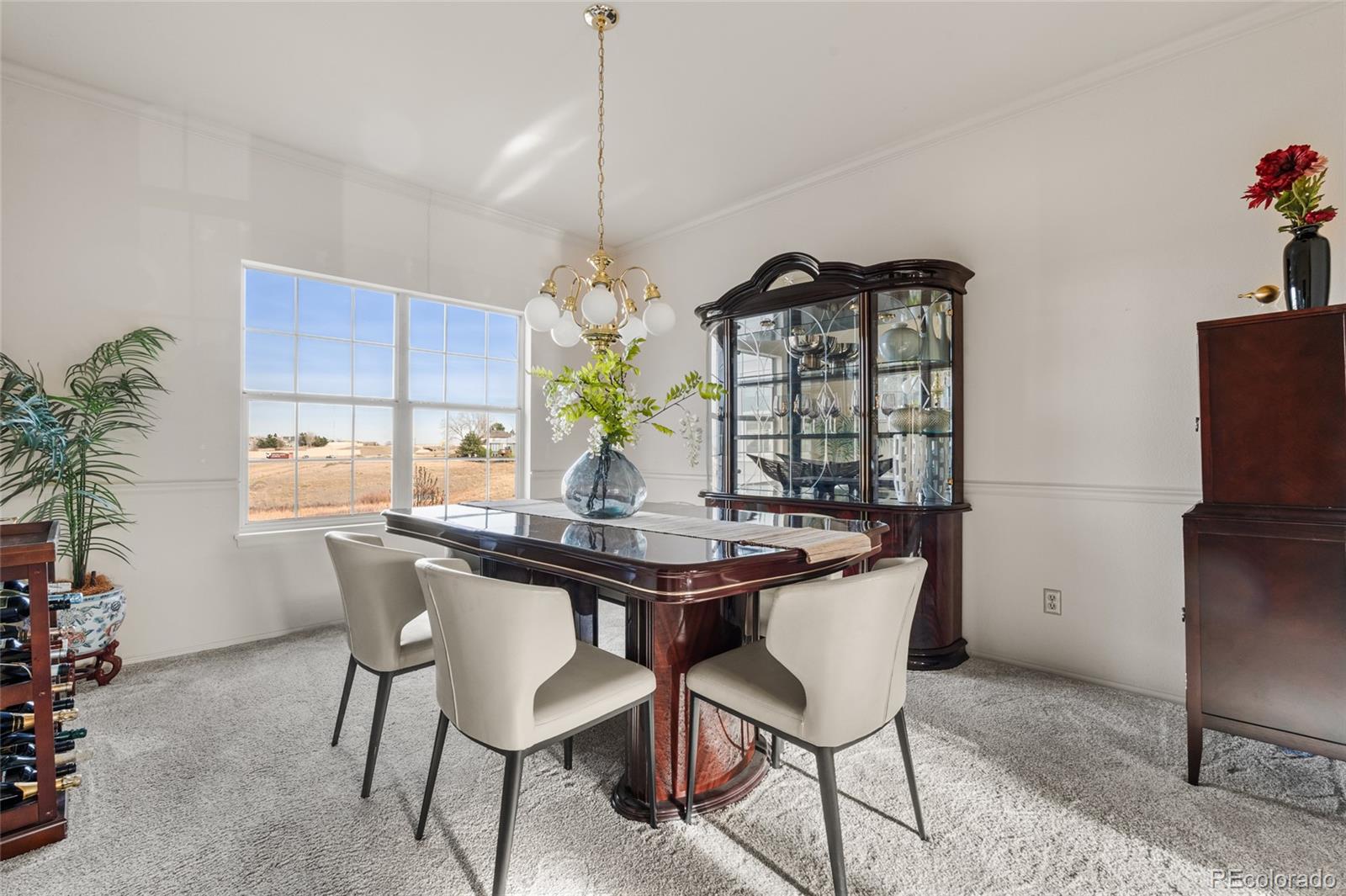 MLS Image #14 for 8586  meadow creek drive,highlands ranch, Colorado