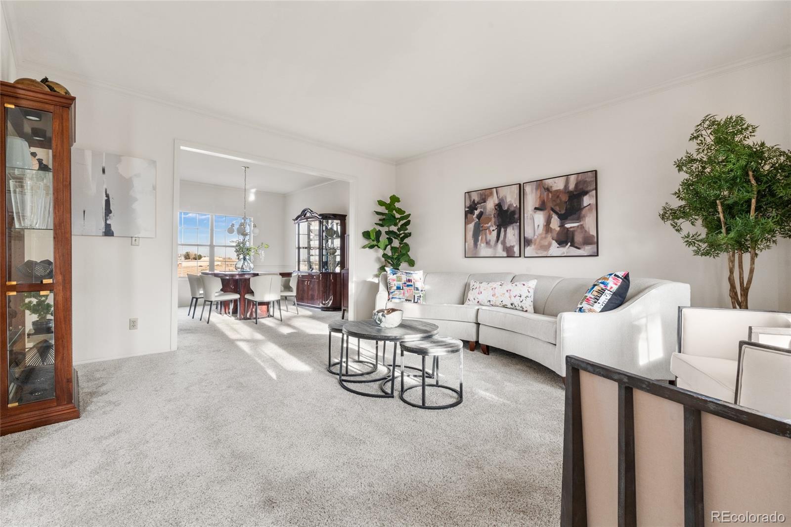 MLS Image #4 for 8586  meadow creek drive,highlands ranch, Colorado