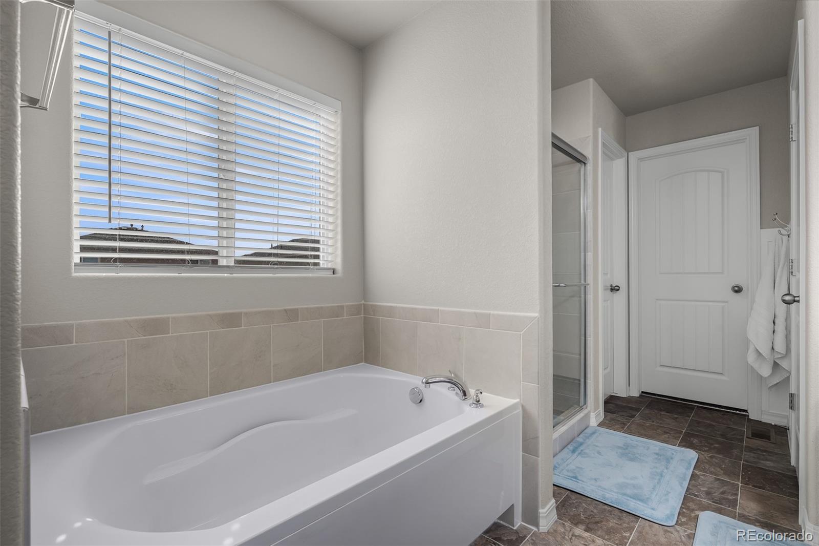 MLS Image #19 for 10895  lavanya place,fountain, Colorado