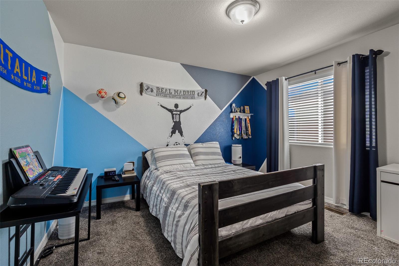 MLS Image #24 for 10895  lavanya place,fountain, Colorado