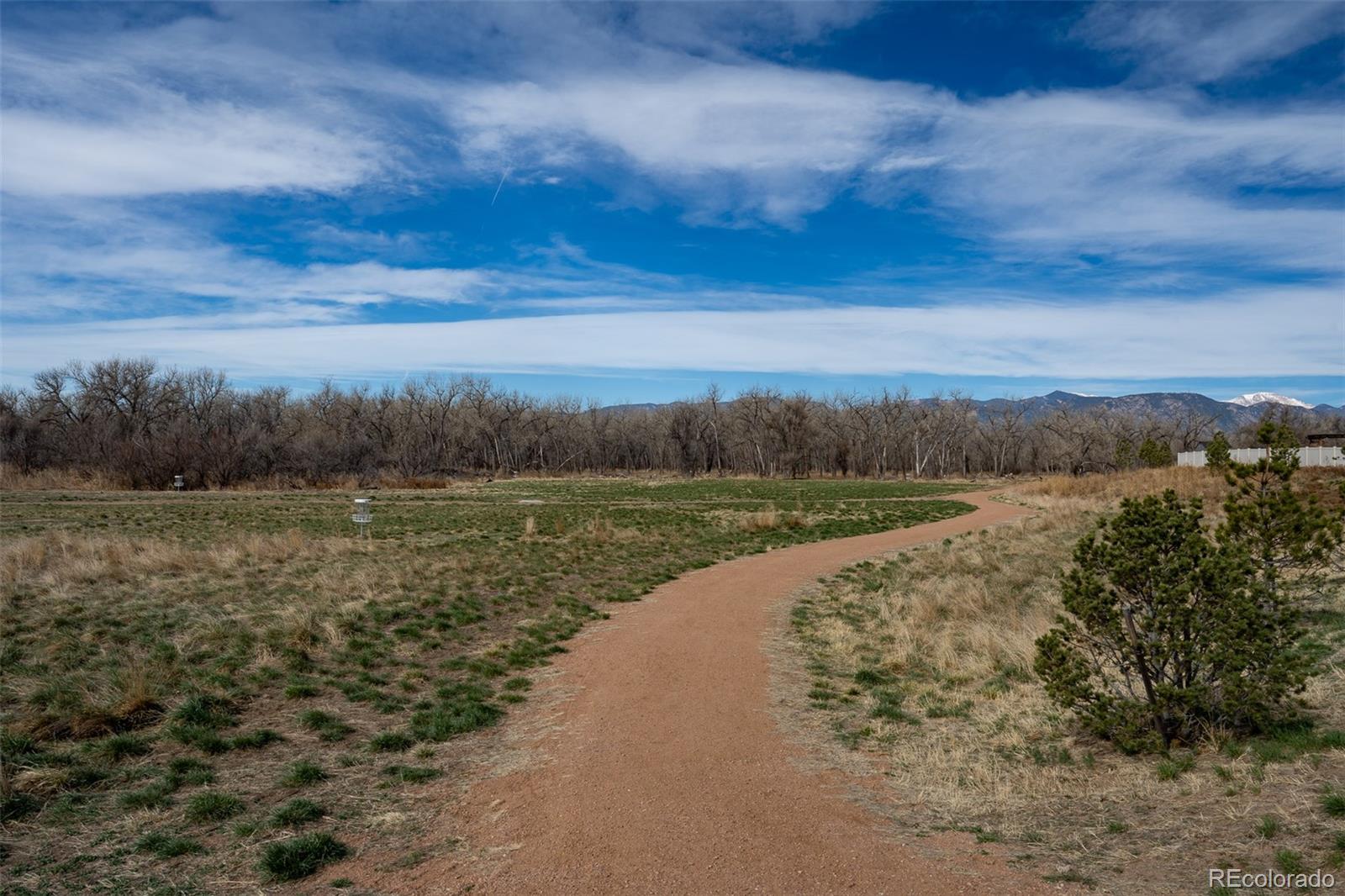MLS Image #39 for 10895  lavanya place,fountain, Colorado