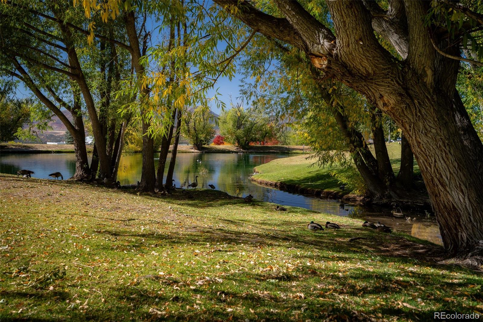 MLS Image #45 for 2317  winstead view,colorado springs, Colorado