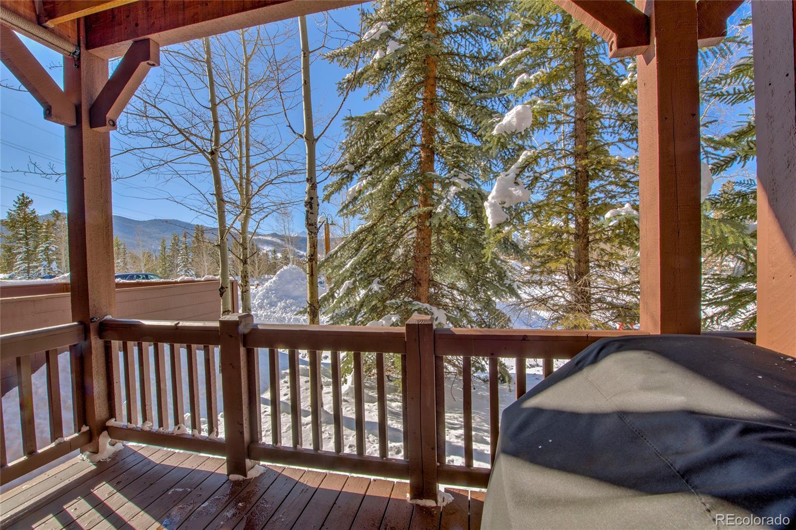 MLS Image #31 for 105  river course drive,dillon, Colorado