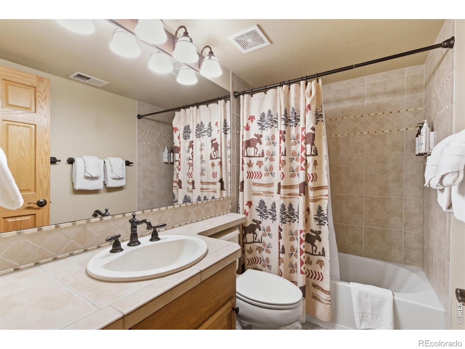 MLS Image #27 for 643  park river place,estes park, Colorado