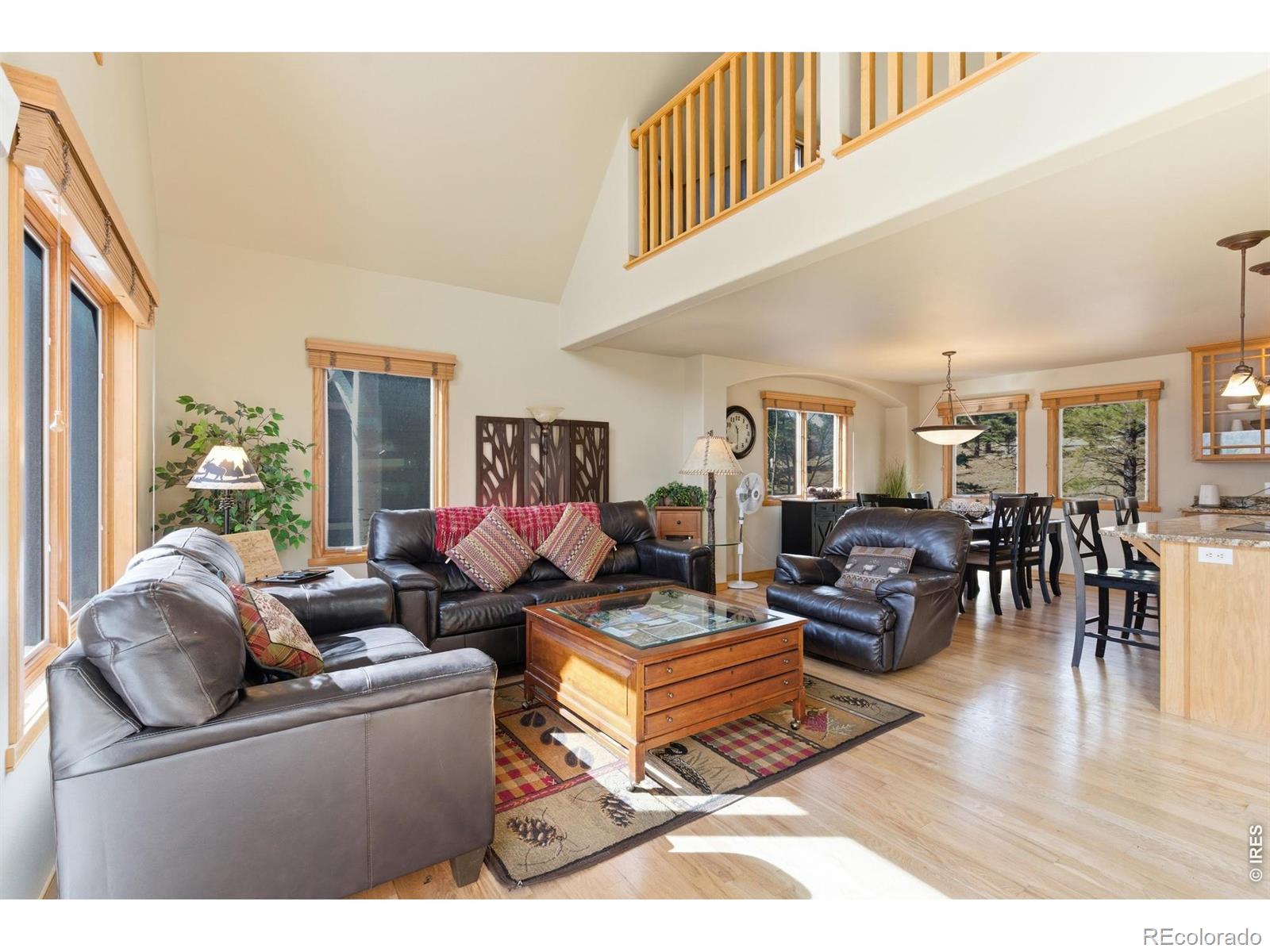 MLS Image #7 for 643  park river place,estes park, Colorado
