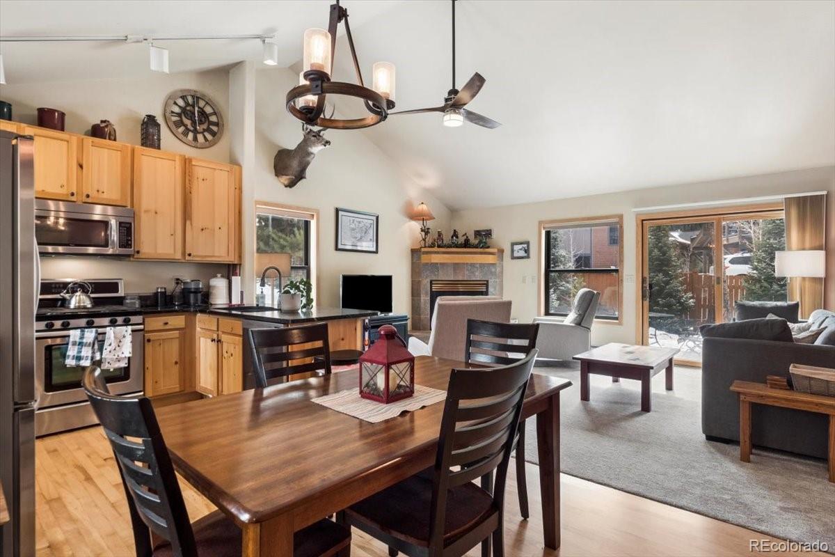 MLS Image #3 for 111  norse lane,dillon, Colorado