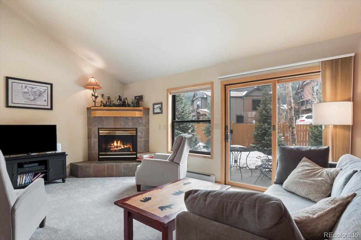 MLS Image #4 for 111  norse lane,dillon, Colorado
