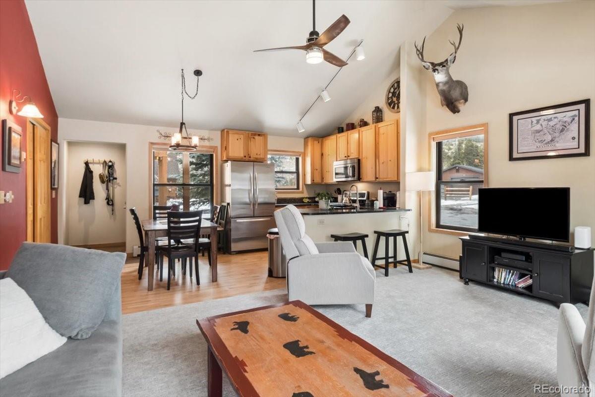 MLS Image #5 for 111  norse lane,dillon, Colorado