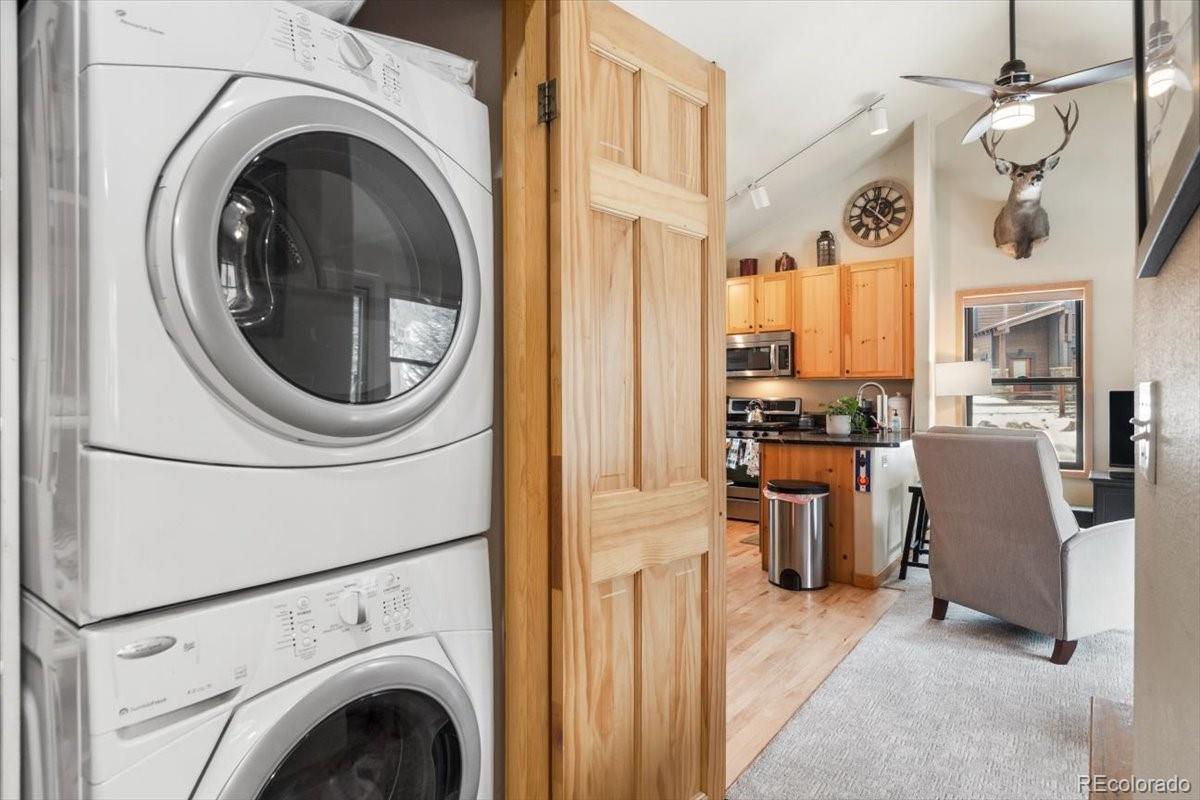 MLS Image #6 for 111  norse lane,dillon, Colorado