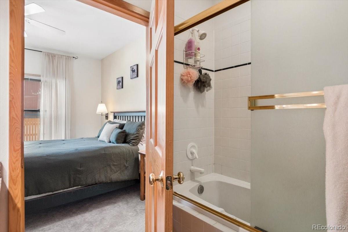 MLS Image #8 for 111  norse lane,dillon, Colorado