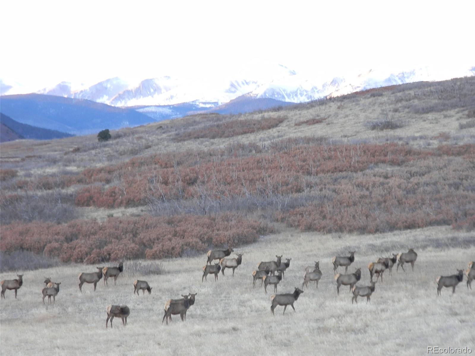 MLS Image #48 for 421  terrace trail,la veta, Colorado