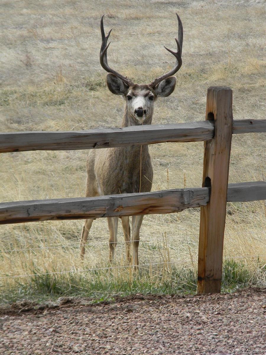 MLS Image #49 for 421  terrace trail,la veta, Colorado