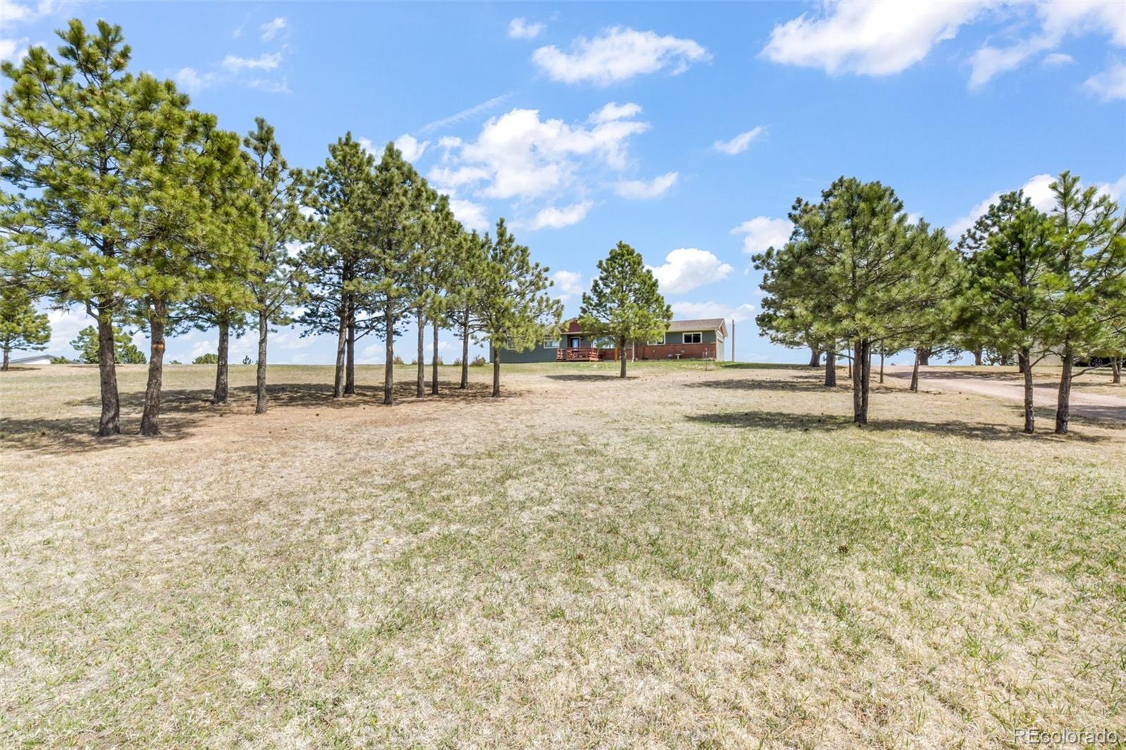 MLS Image #38 for 16735  high tree drive,elbert, Colorado