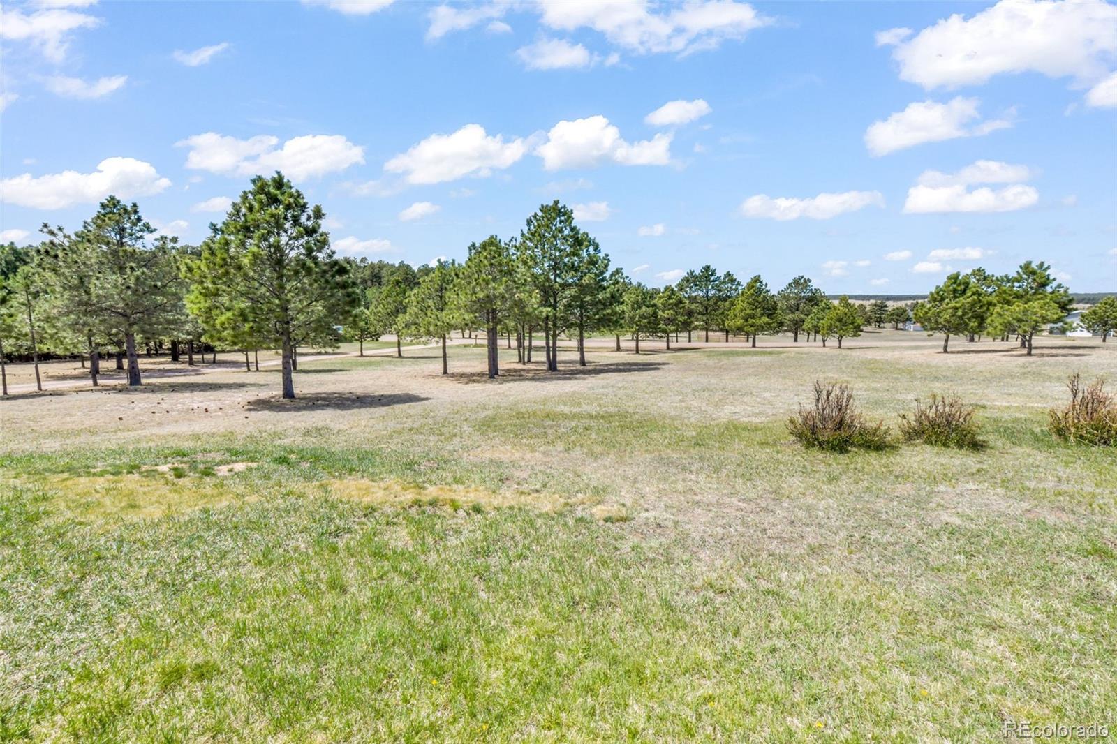 MLS Image #39 for 16735  high tree drive,elbert, Colorado
