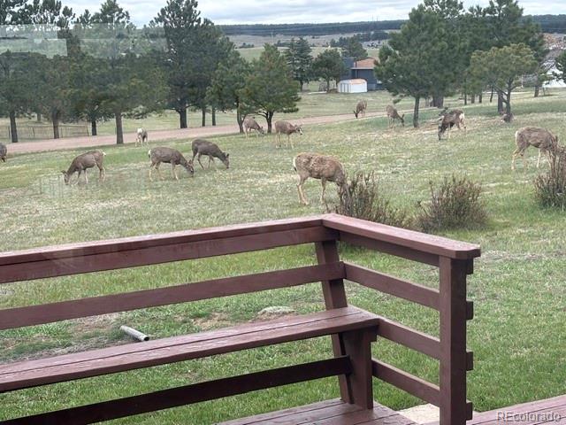 MLS Image #4 for 16735  high tree drive,elbert, Colorado