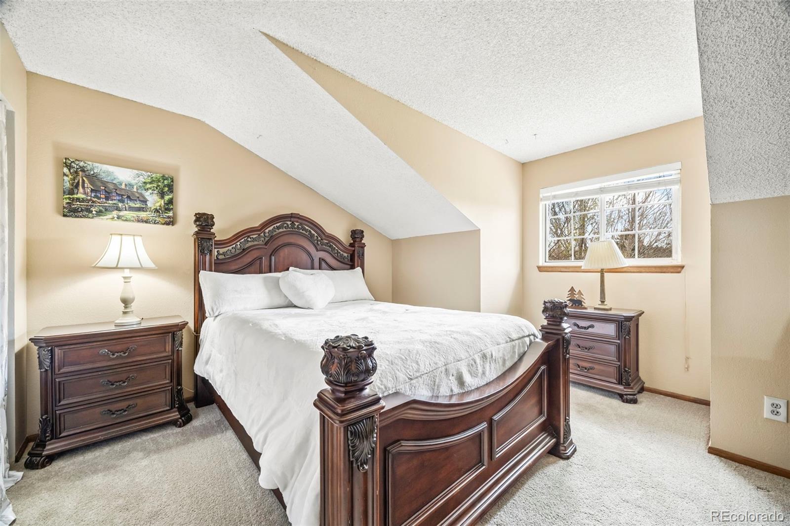 MLS Image #11 for 10433  red mountain ,littleton, Colorado