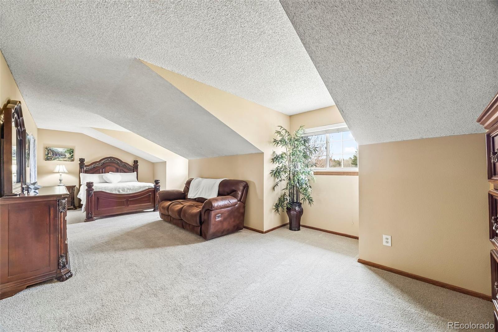 MLS Image #12 for 10433  red mountain ,littleton, Colorado