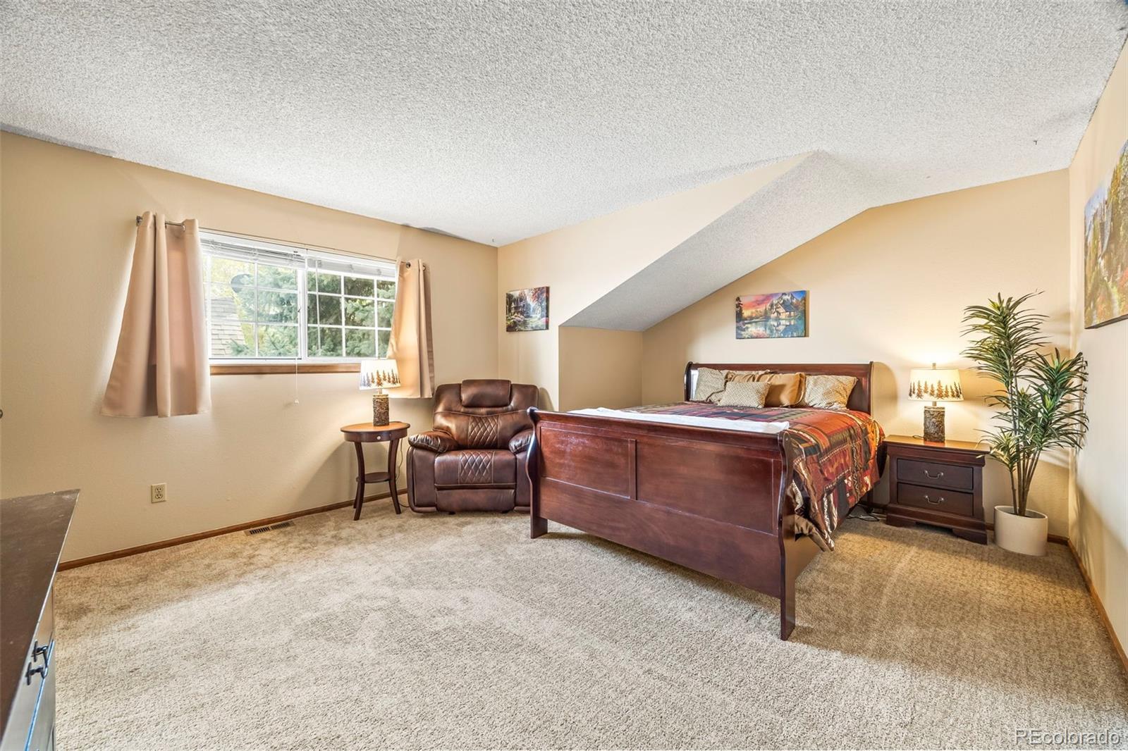 MLS Image #14 for 10433  red mountain ,littleton, Colorado