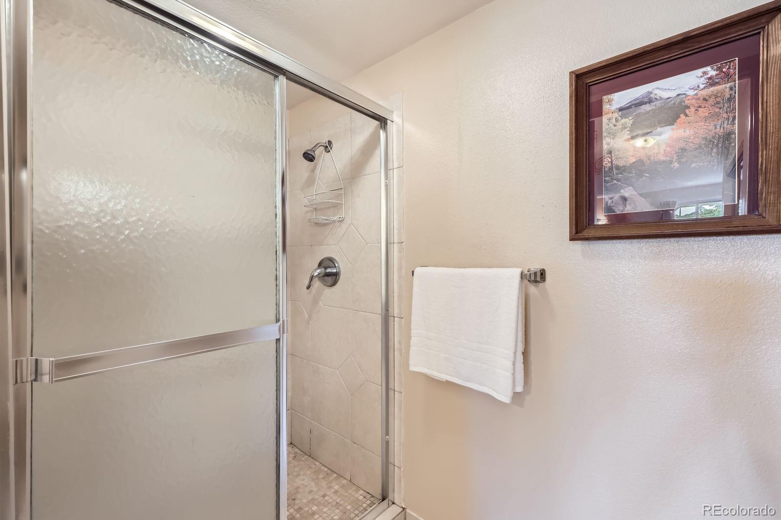MLS Image #8 for 10433  red mountain ,littleton, Colorado