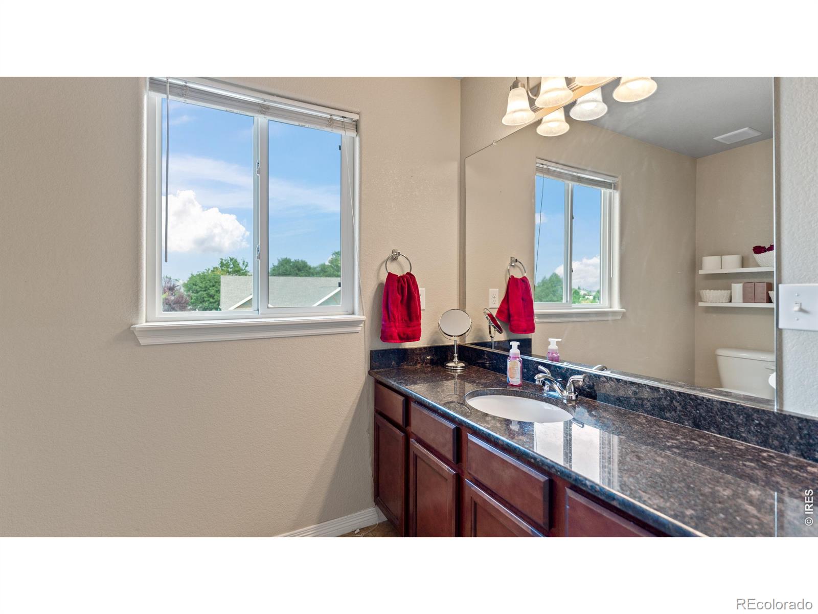 MLS Image #28 for 633  shoshone court,windsor, Colorado
