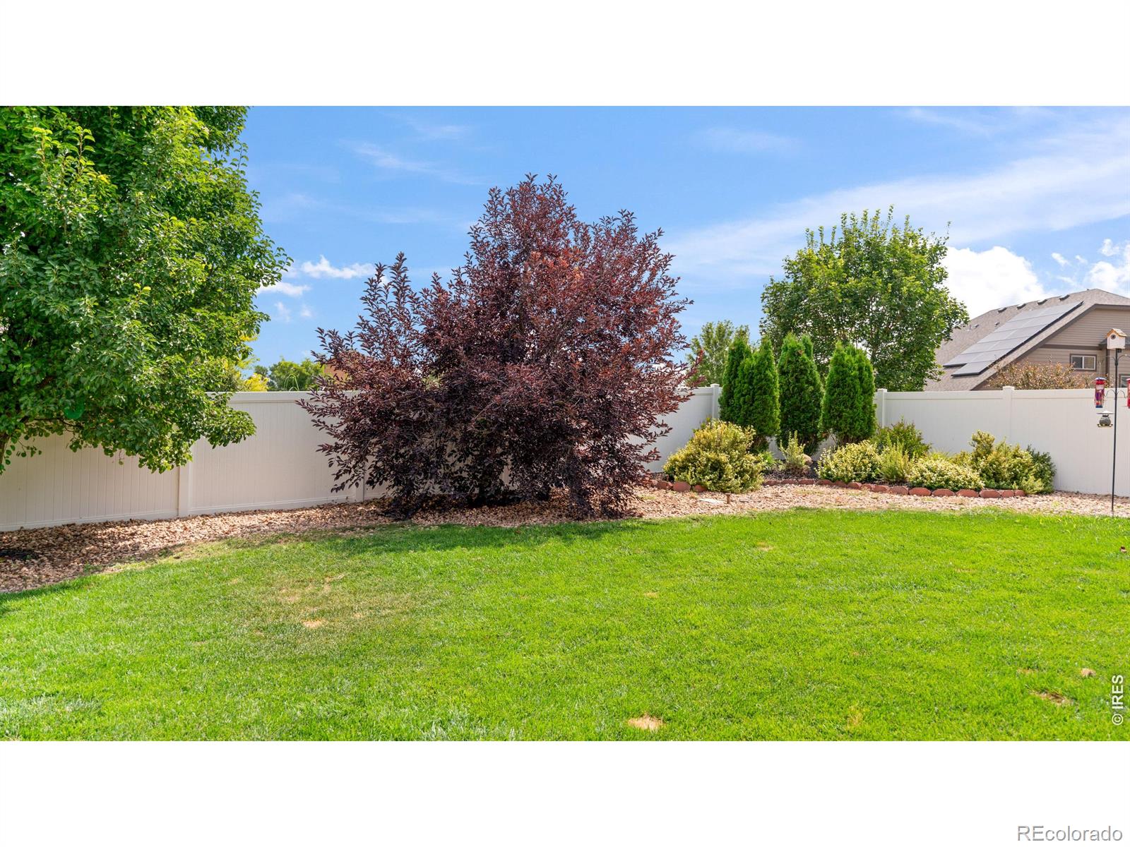 MLS Image #40 for 633  shoshone court,windsor, Colorado