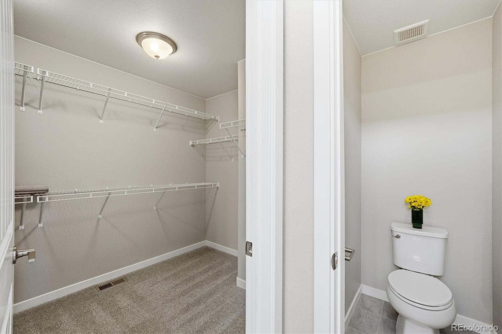 MLS Image #23 for 16684  hallmark trail,monument, Colorado