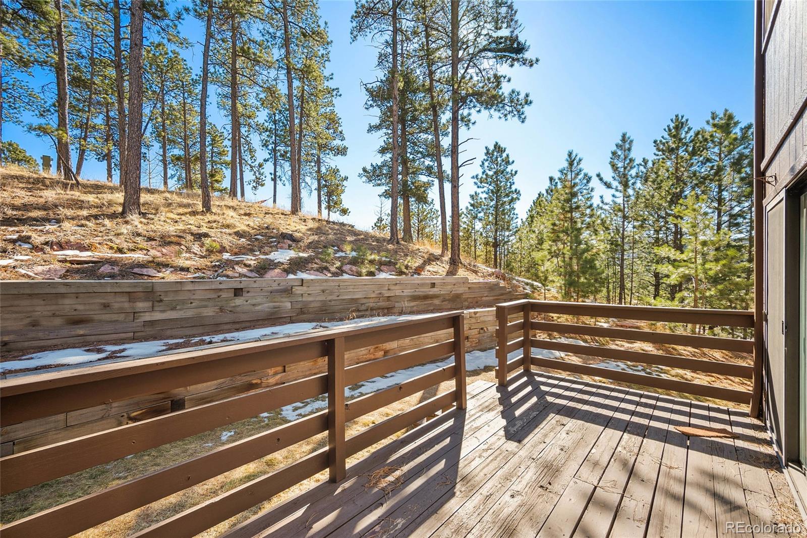 MLS Image #30 for 590  manor court,woodland park, Colorado
