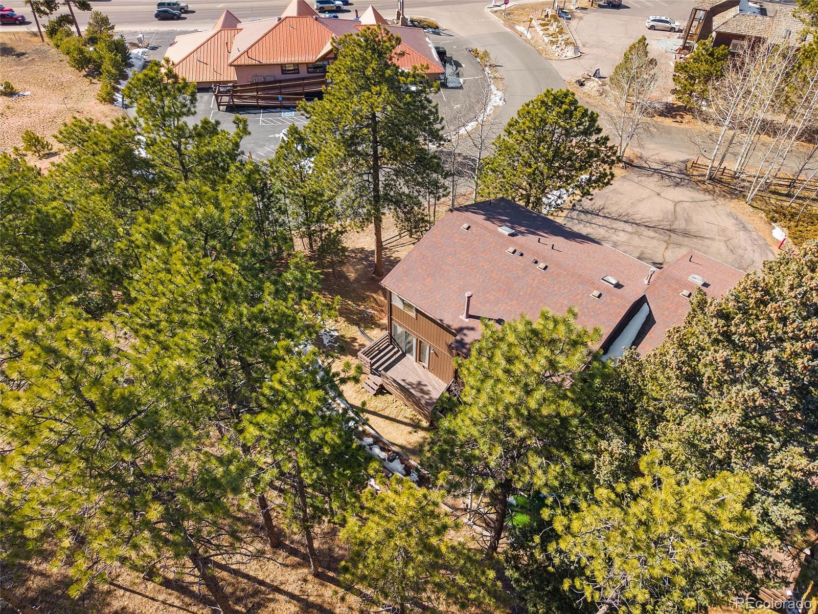 MLS Image #42 for 590  manor court,woodland park, Colorado