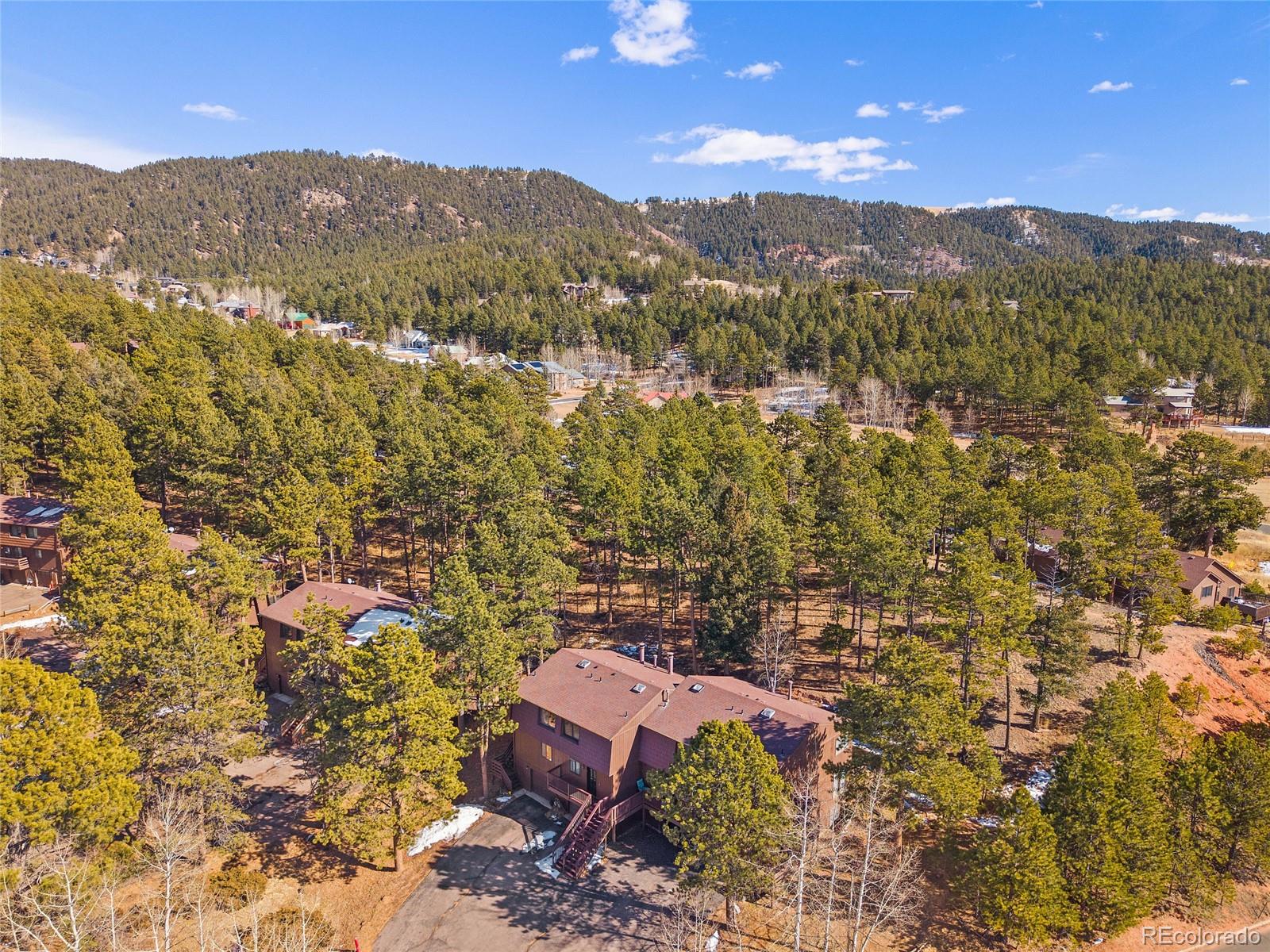 MLS Image #46 for 590  manor court,woodland park, Colorado