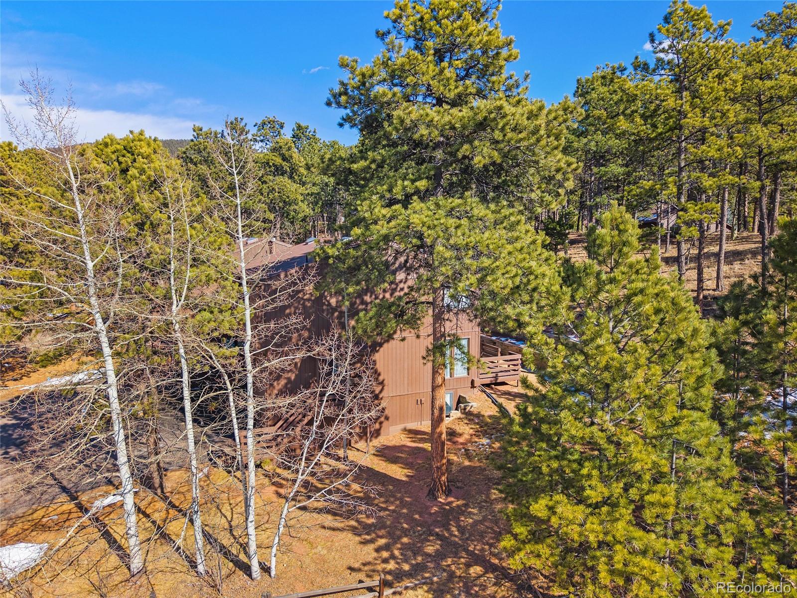 MLS Image #48 for 590  manor court,woodland park, Colorado