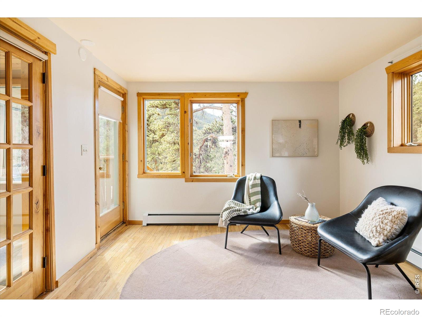 MLS Image #14 for 187  nugget hill road,jamestown, Colorado