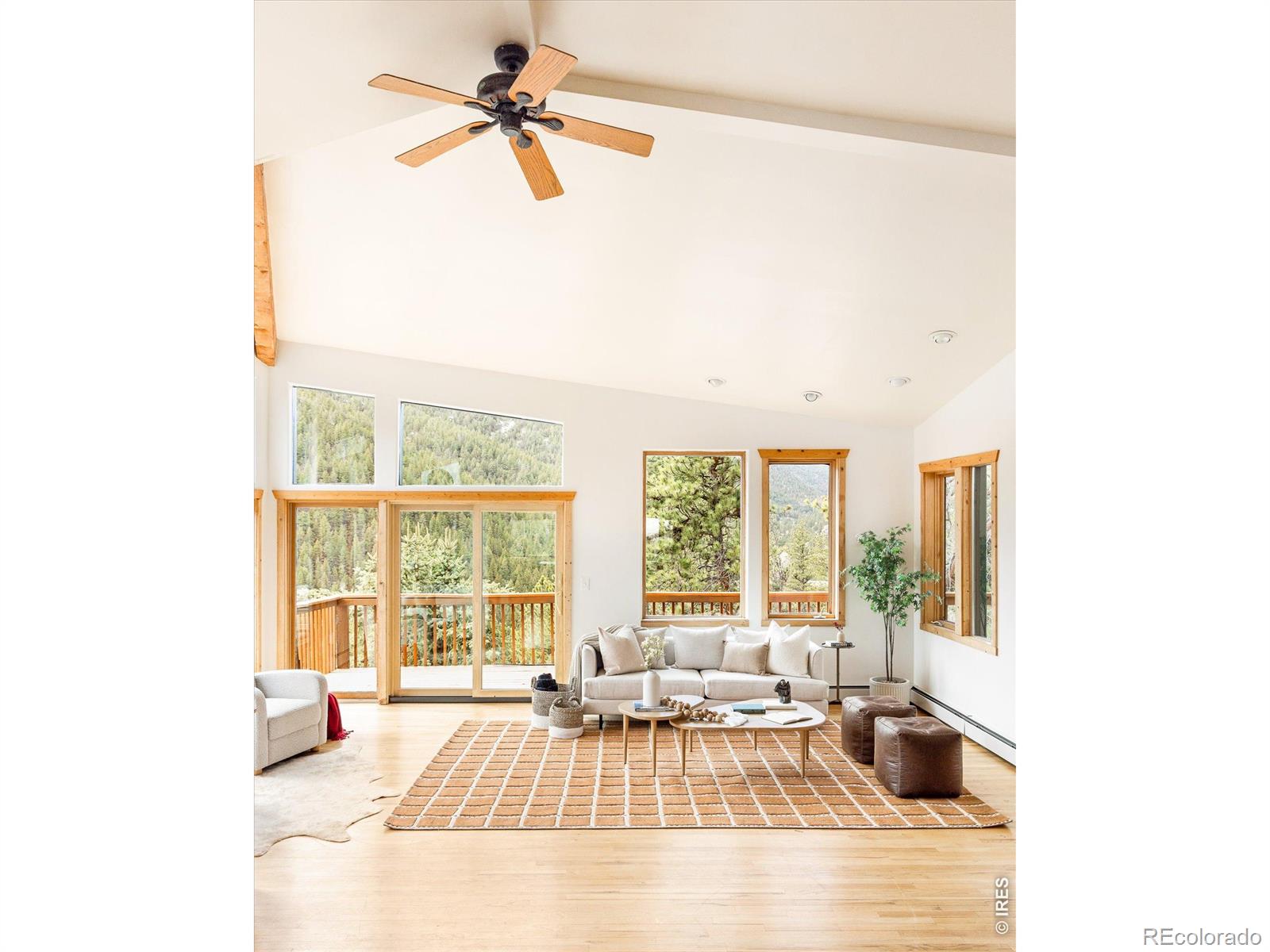 MLS Image #2 for 187  nugget hill road,jamestown, Colorado