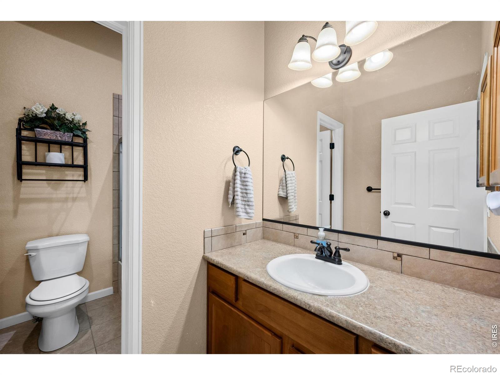 MLS Image #8 for 183  kitty hawk court,windsor, Colorado