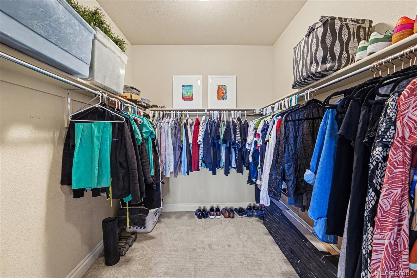 MLS Image #21 for 10197  belvedere lane ,lone tree, Colorado