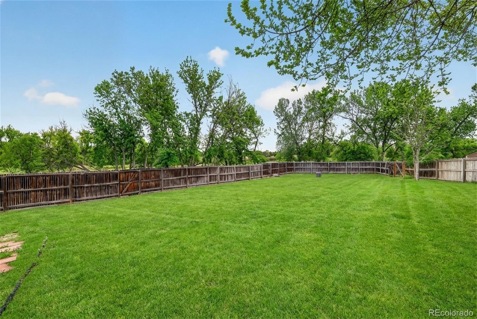 MLS Image #2 for 13096  alcott place,broomfield, Colorado