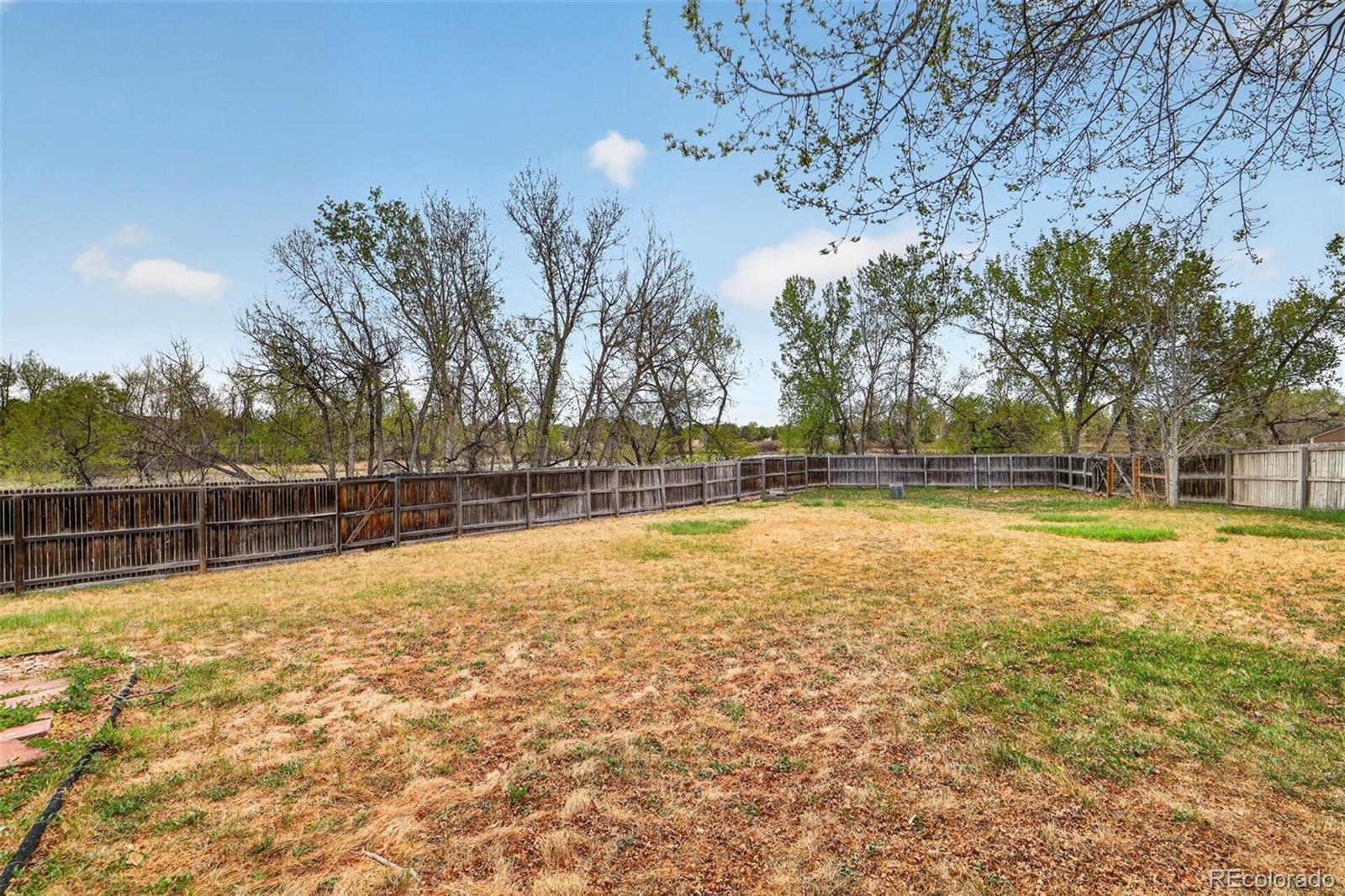 MLS Image #38 for 13096  alcott place,broomfield, Colorado