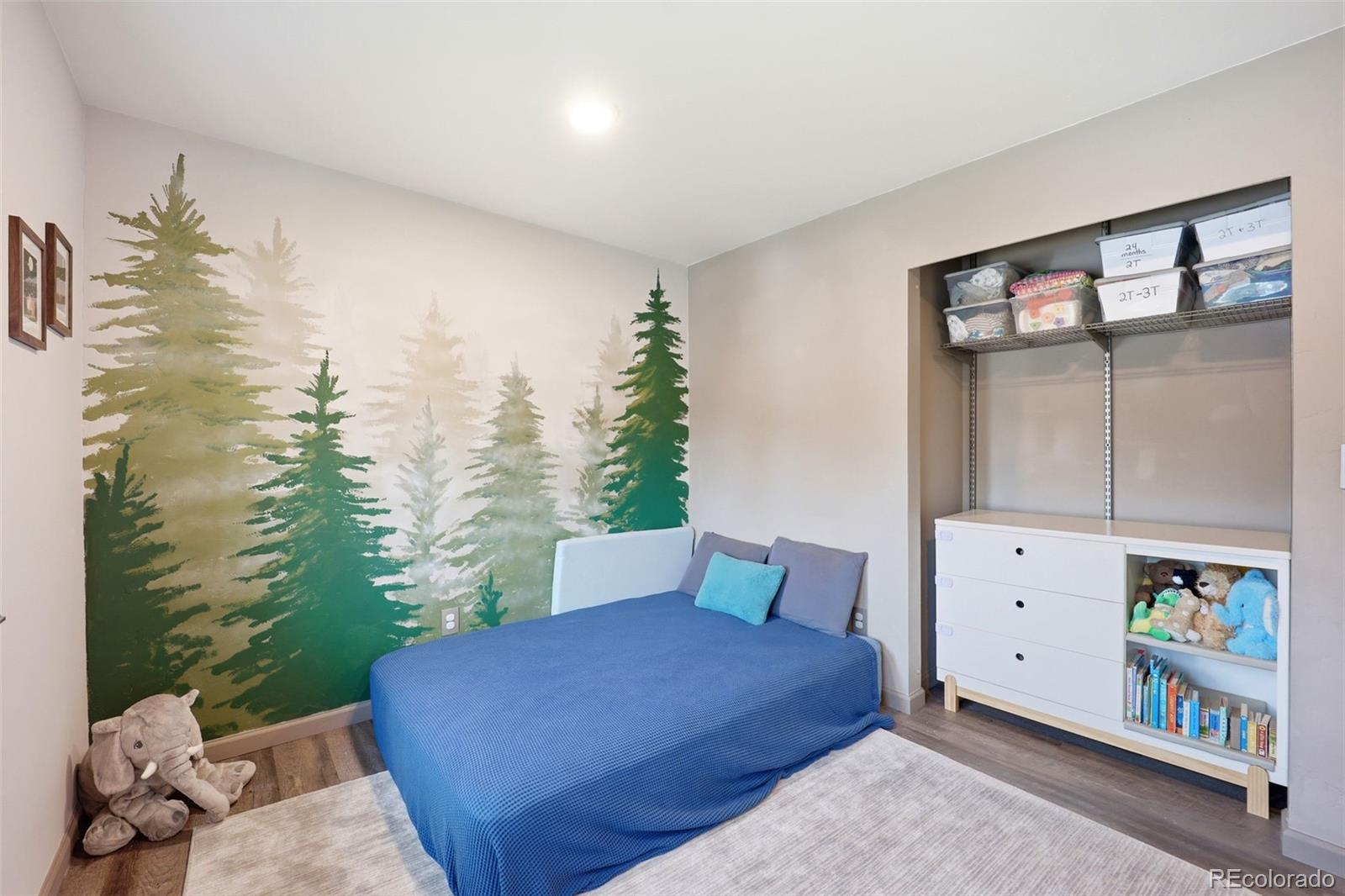 MLS Image #14 for 9154  cody court,broomfield, Colorado
