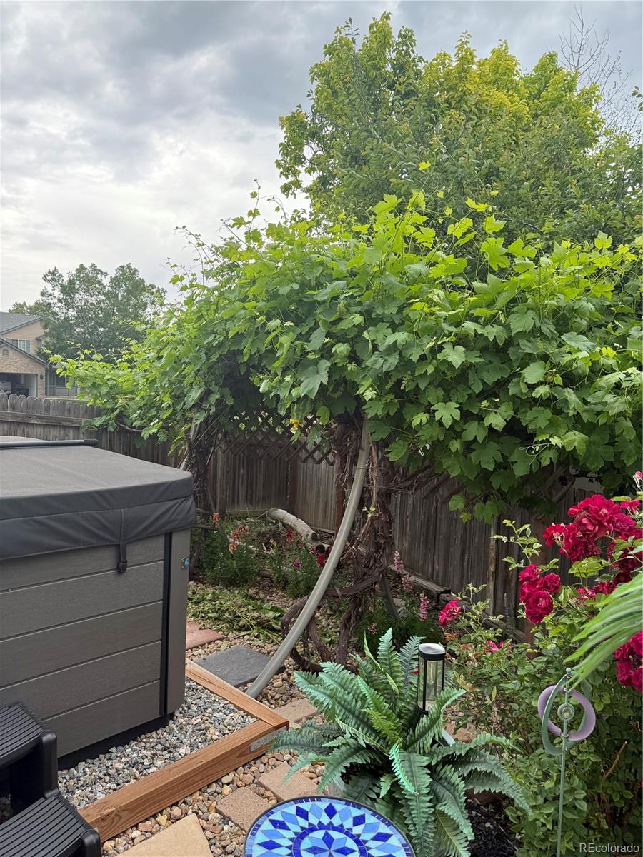 MLS Image #36 for 13556  albion circle,thornton, Colorado