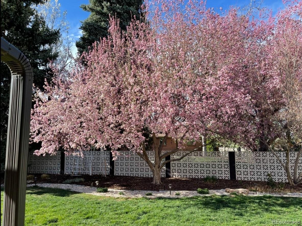 MLS Image #42 for 5401 w lakeridge road,lakewood, Colorado