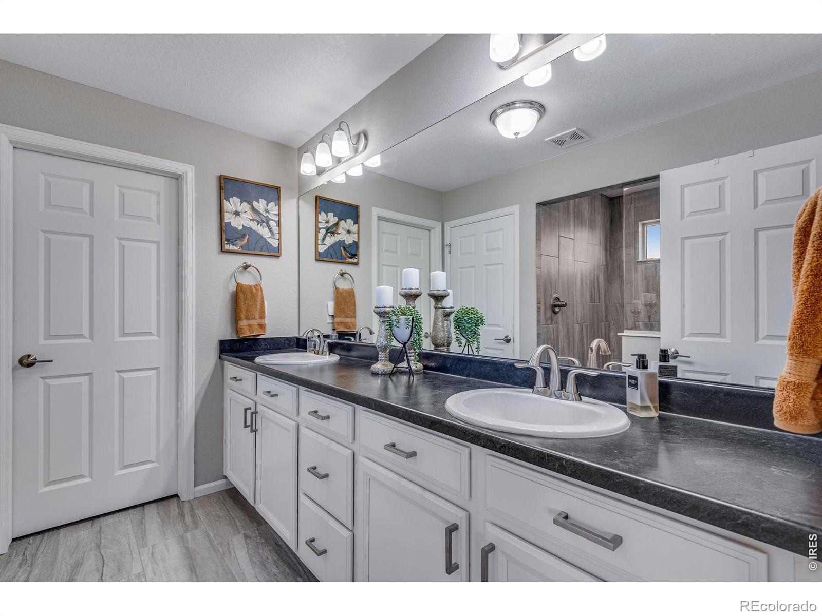 MLS Image #31 for 385  poppy view lane,erie, Colorado