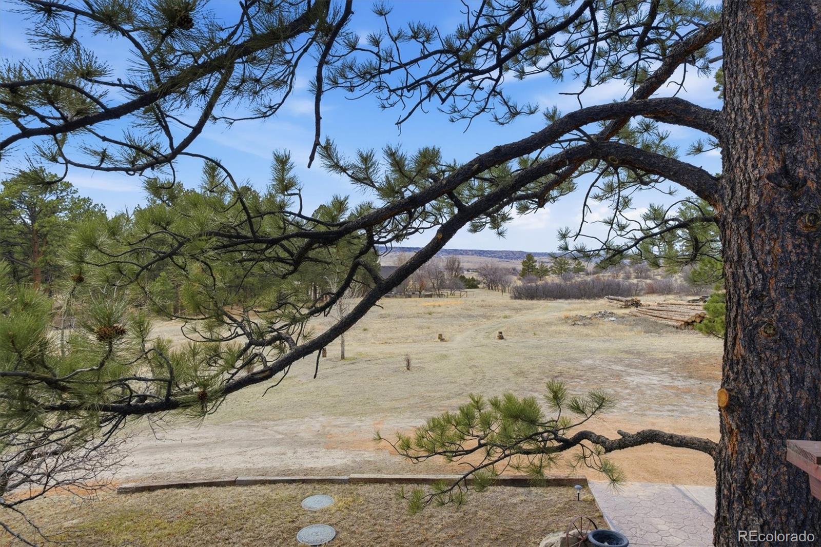 MLS Image #12 for 7755 e park drive,franktown, Colorado