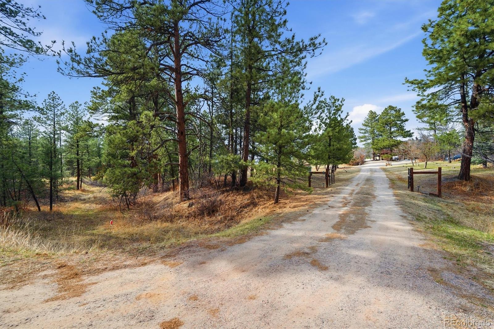 MLS Image #4 for 7755 e park drive,franktown, Colorado